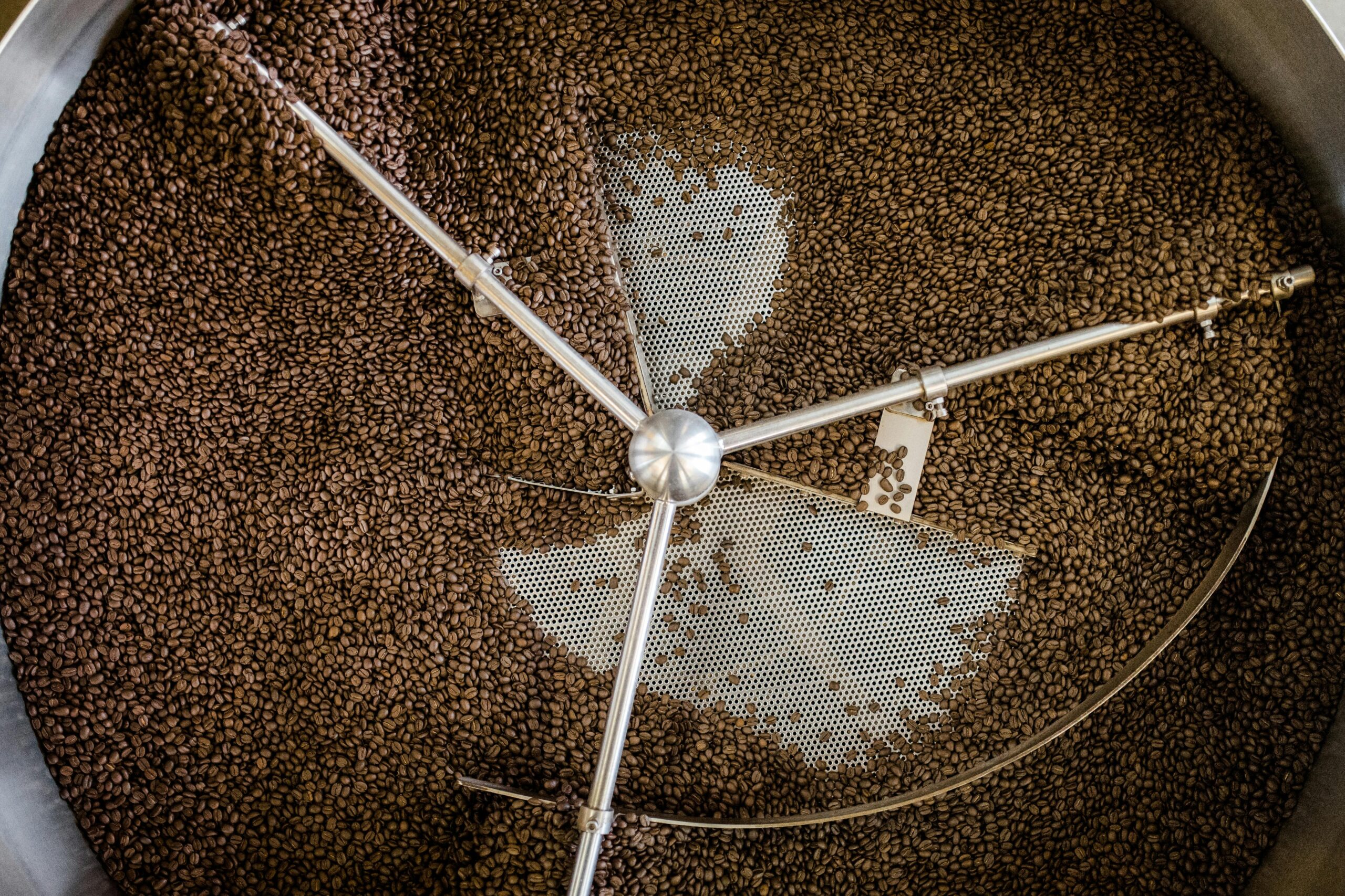 O que é café arábica? Descubra o rei dos cafés