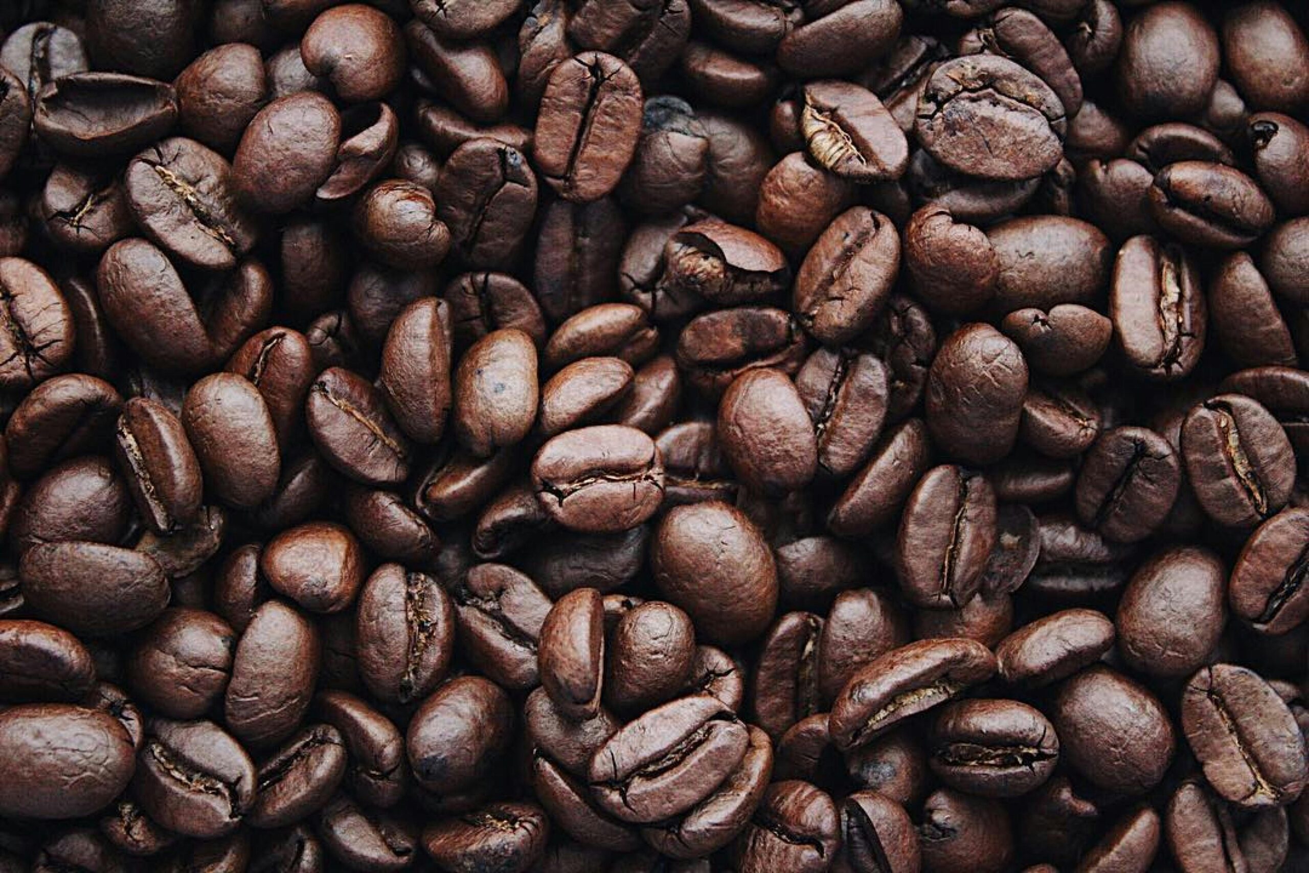 Descubra os principais países produtores de café do mundo